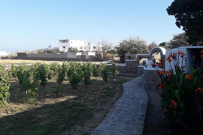Wine Tasting Tour at a traditional farm in Mykonos - The local snack plate is useful, but not a meal