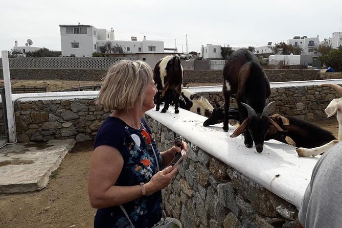 Wine Tasting Tour at a traditional farm in Mykonos - The farm setting: charming to some, disappointing to others