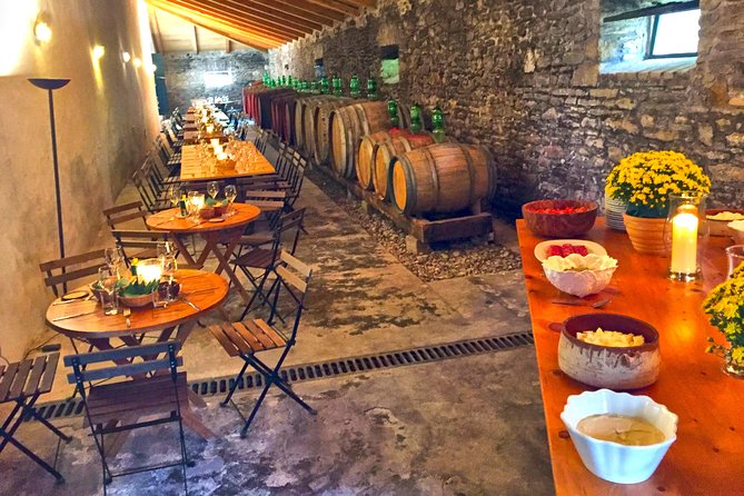 Winery tour with Wine and Olive tasting in Corfu - Is $26.55 good value?