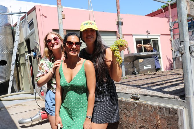 "YAMAS" - Winery tour &wine tasting - Getting to Dafnes and planning your timing