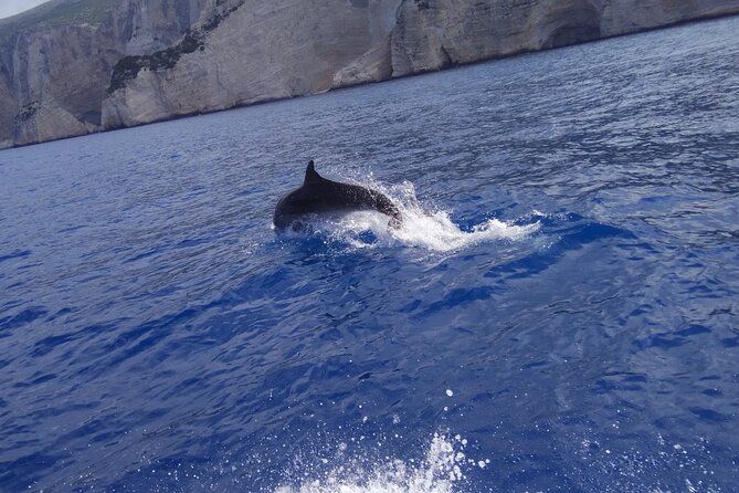 Zakynthos All Day Tour Shipwreck beach, view point-Blue Caves - Navagio Viewpoint shows the famous beach at its best
