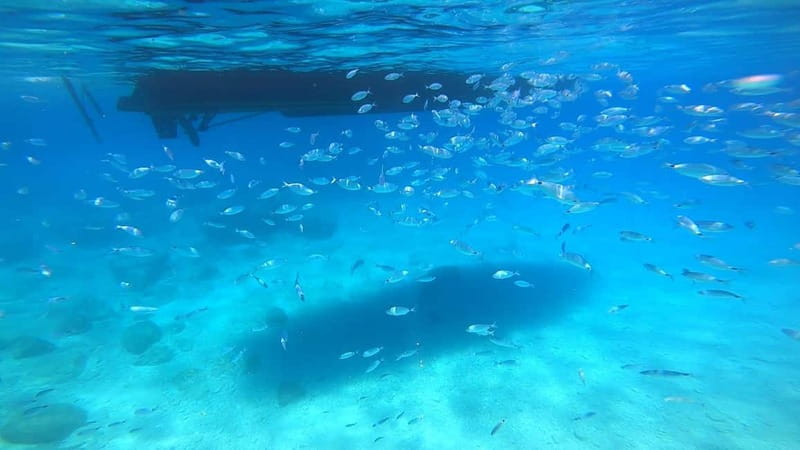 Zakynthos: Blue Caves and Navagio Bay Swim Cruise - The return ride to Agios Nikolaos