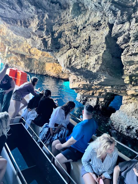 Zakynthos: Glass-Bottom Boat to Navagio, Caves & White Beach - The old olive tree adds a Zakynthos finish