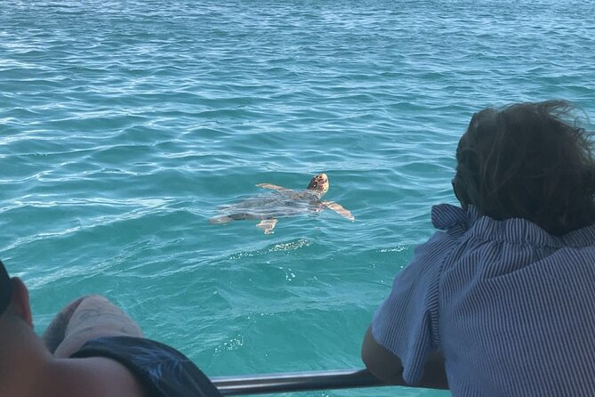 Zakynthos Half Day Tour to the Turtle Island, Cameo & Keri Caves - Pickup, Timing, and Group Comfort