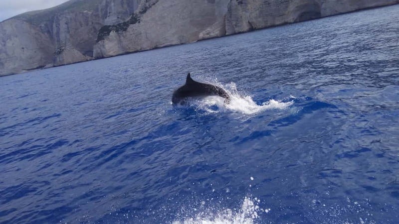 Zakynthos: Shipwreck Beach, Viewpoint, Blue Caves Day Tour - Lunch brings the tour back to village life