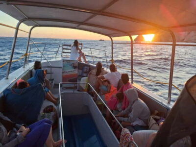 Turtle Spotting, Marathonísi & Keri Caves Cruise