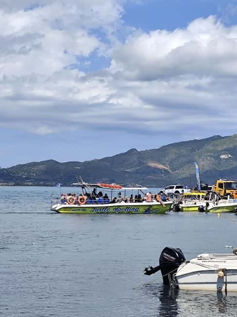 Zakynthos: Turtle Spotting, Marathonísi & Keri Caves Cruise - Who will enjoy this cruise most
