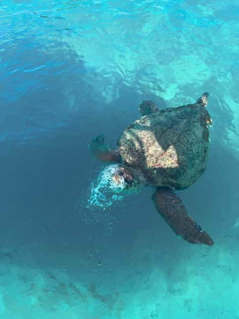 Zakynthos: Turtles, Marathonisi & Keri Caves Speedboat Tour - Setting out from Agios Sostis