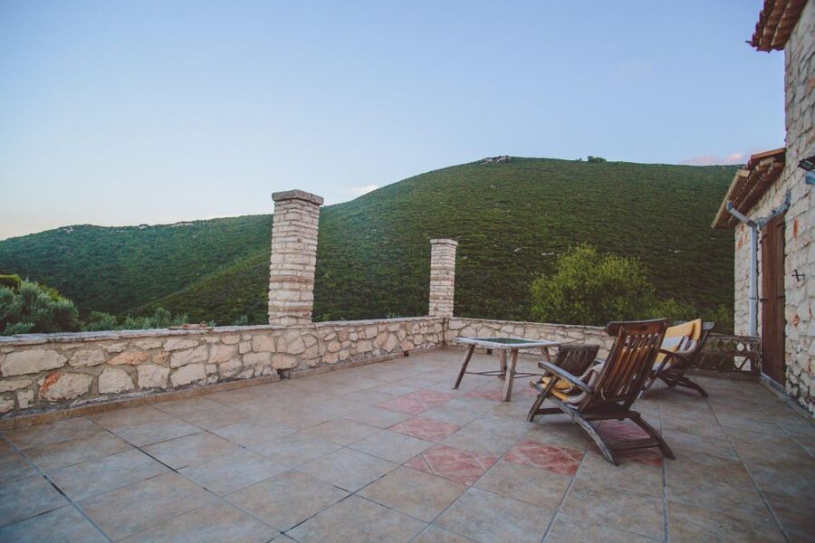 Zakynthos: Vineyard & Winery Tour with Local Winemaker - Orchard, olive oil, and the flavors of the estate