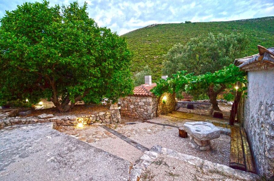 Zakynthos: Vineyard & Winery Tour with Local Winemaker - How the price works out at $63